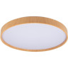 Светильник JAZZWAY PPB PINE 72w DIM 3000-6500K IP20 D485x75 5052680